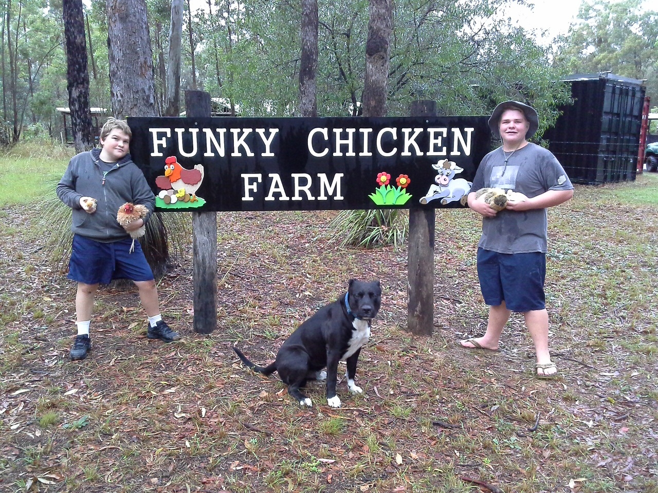 Funky Chicken Farm Reviews