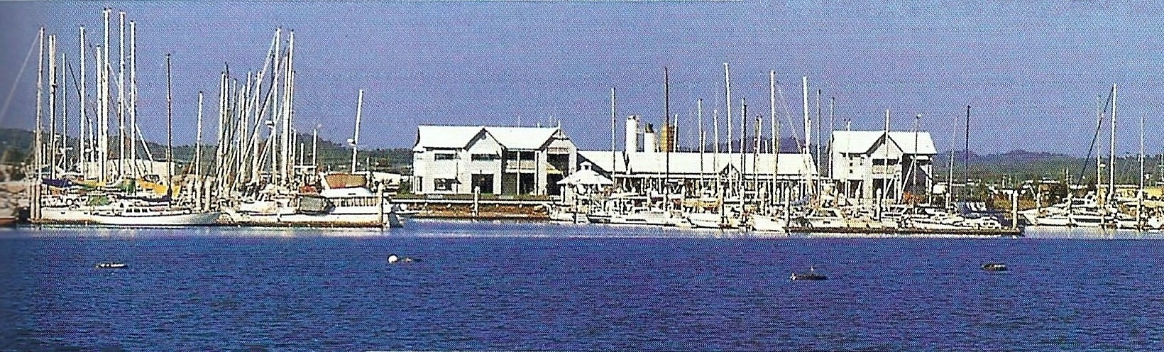 The Gladstone Marina - Gladstone News