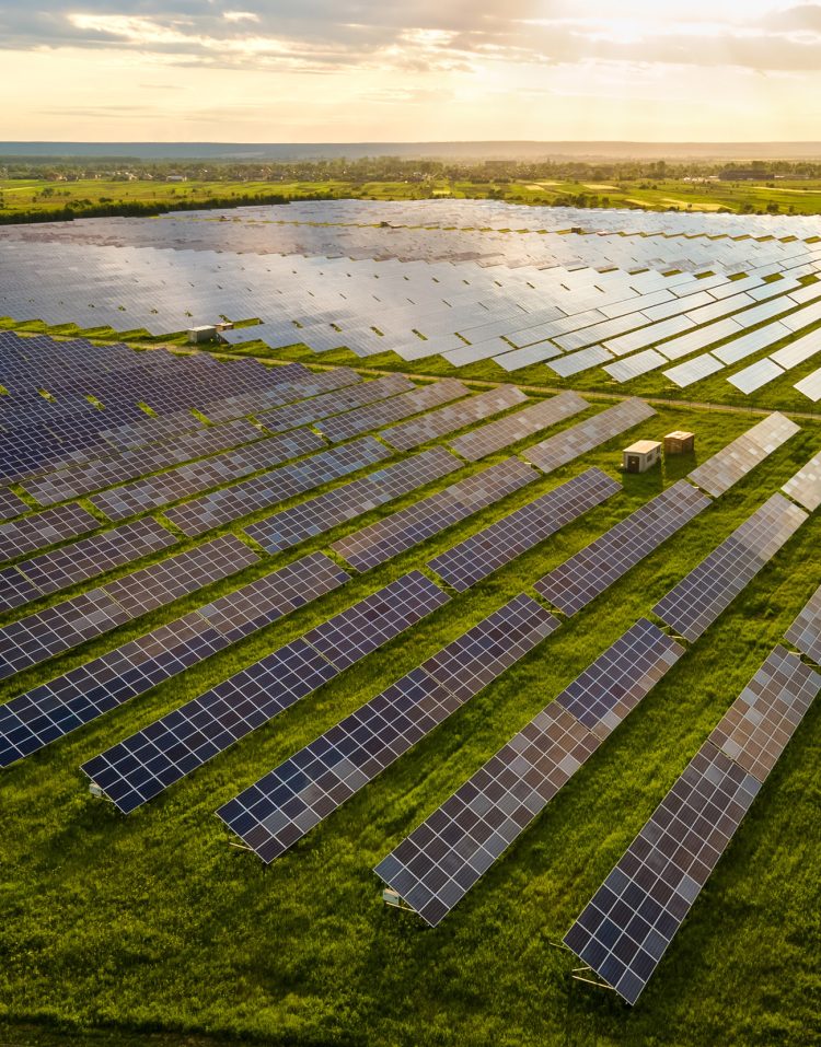 Gladstone’s Newest Solar Farm Shines Bright