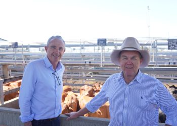 New Fresh Food Tax Will Drive up Cost of Living