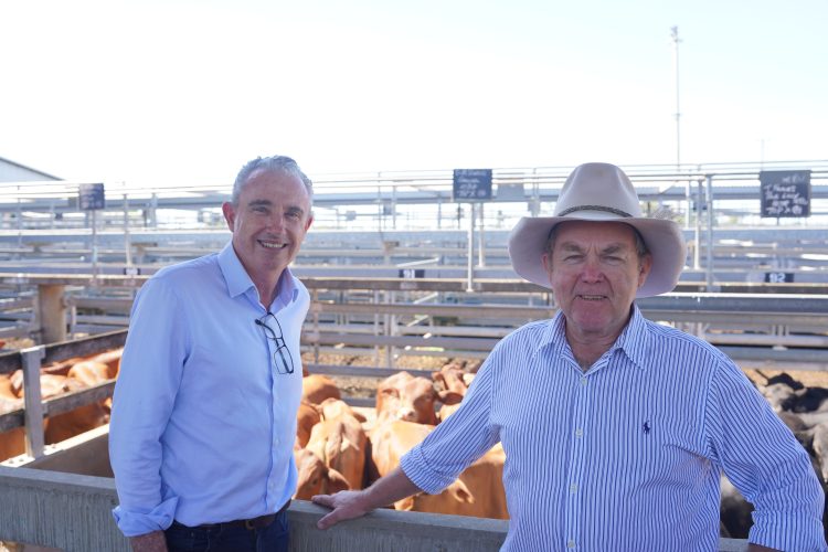 New Fresh Food Tax Will Drive up Cost of Living