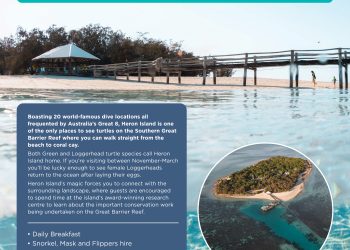 Discover Heron Island with this EXCLUSIVE LOCAL OFFER 🐢🐟