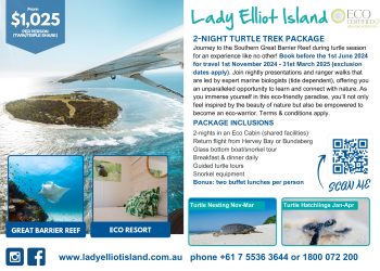 2 Night Turtle Trek Package at Lady Elliot Island 🐢🐠