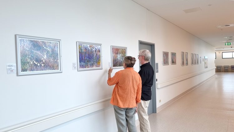 Healing Through Art – Cosmos Arts for Health at Gladstone Hospital