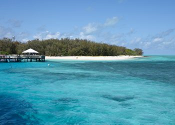 Best of Queensland Tourism Experiences Unveiled for 2024