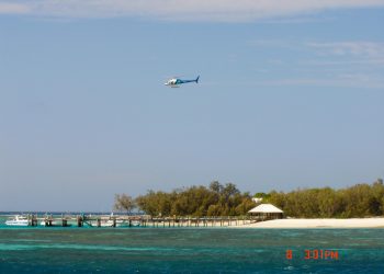 Here in History – Heron Island