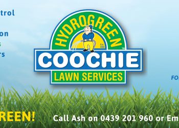 The Insider’s Guide to Autumn Lawn Care 