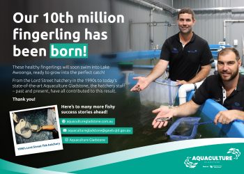 Our 10th million fingerling has been born! 