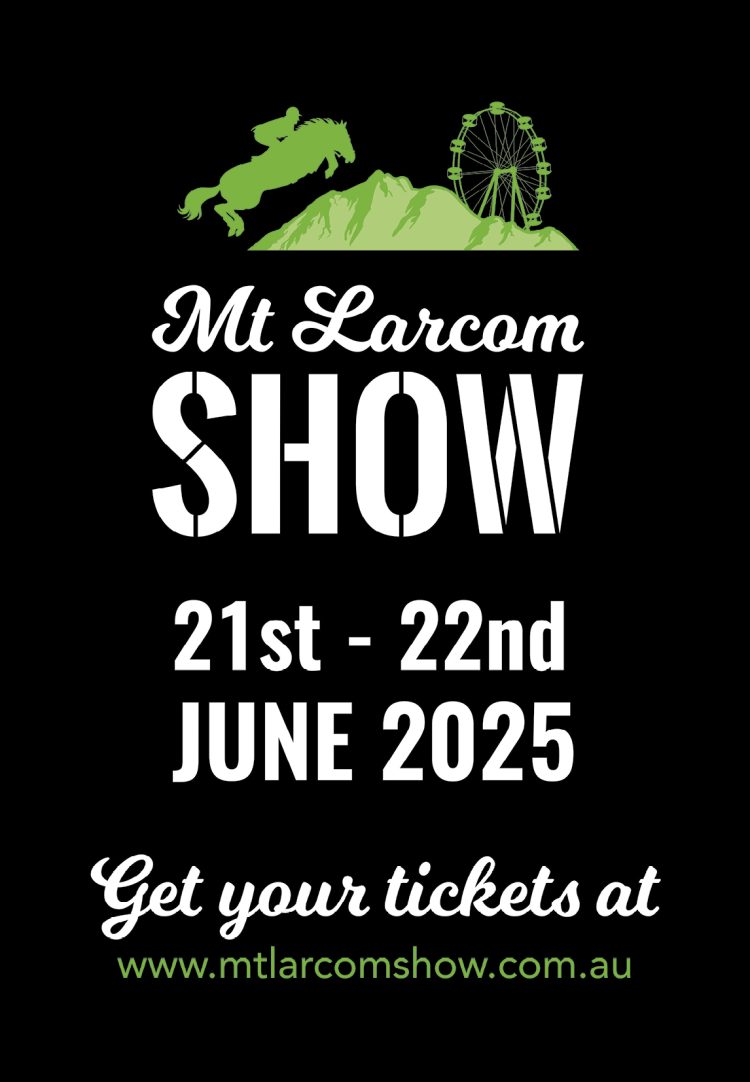 Mt Larcom Show