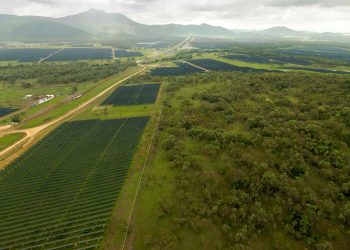 ACCIONA Energia’s Aldoga Solar Farm Completes Construction 7 Months Ahead of Schedule