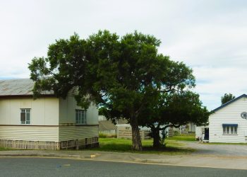 Here in History: Red Cross Society 