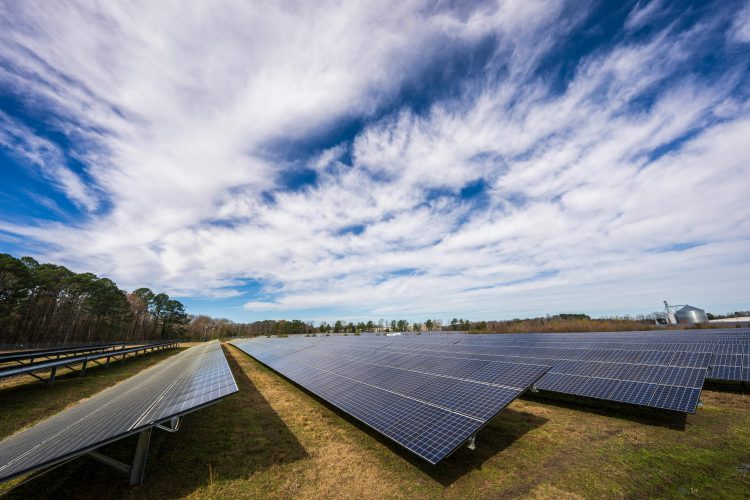 Eurimbula Solar Farm to Power Queensland’s Renewable Future