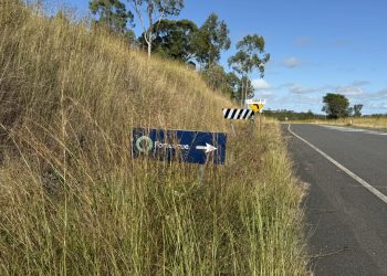 Fortescue Green Hydrogen Future in Question as 90 Jobs Cut, Including in Gladstone