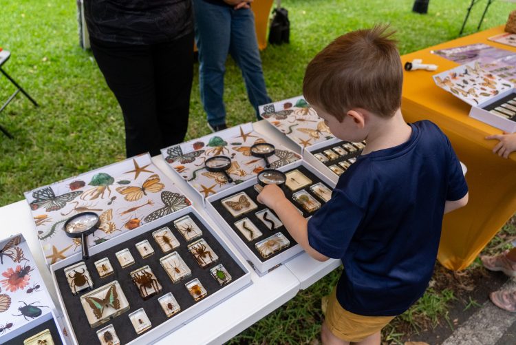 Gladstone Unites to ‘Beat Plastic Pollution’ at Ecofest 2025