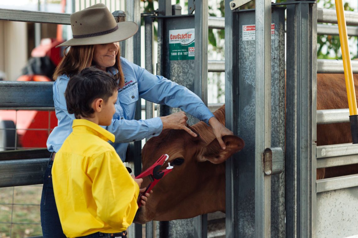 Six Keys Cattle Co: Where the Paddock Becomes the Classroom