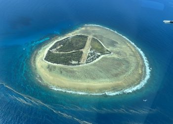 Australians Rally to Protect the Great Barrier Reef