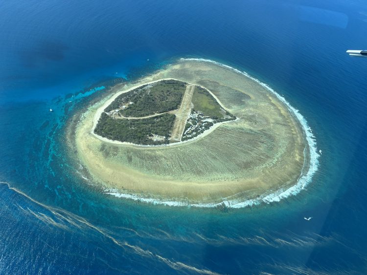 Australians Rally to Protect the Great Barrier Reef