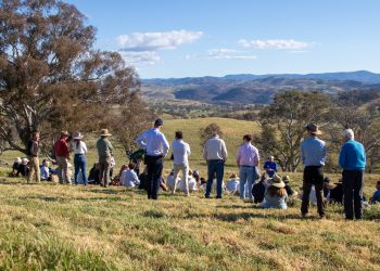 Gladstone Receives $20,000 Grant to Support Local Climate Transition Planning