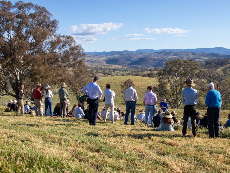 Gladstone Receives $20,000 Grant to Support Local Climate Transition Planning
