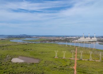 Gladstone Community Groups Among Powerlink Grant Recipients