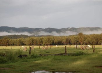 Boyne Valley Photo Competition Opens to Celebrate Community and Nature