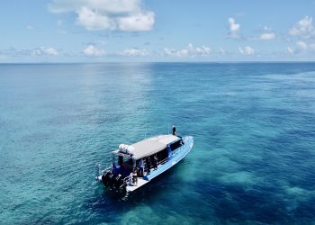 Education with Purpose Beneath the Surface