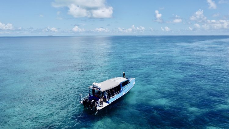 Education with Purpose Beneath the Surface