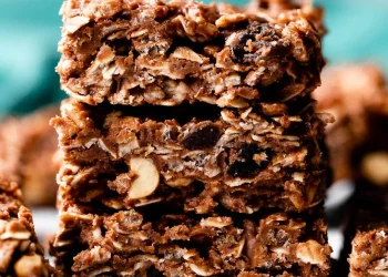 No-Bake Chocolate Fudge Oat Bars