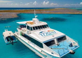 Gladstone Tourism Operators Secure Major Funding Boost 