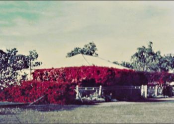 Here in History: Larsen Cottage in all it’s glory 