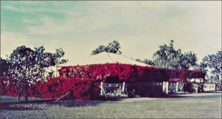 Here in History: Larsen Cottage in all it’s glory 