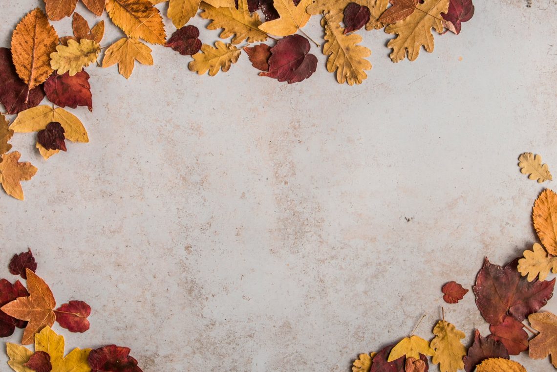 Preparing Your Property for Autumn