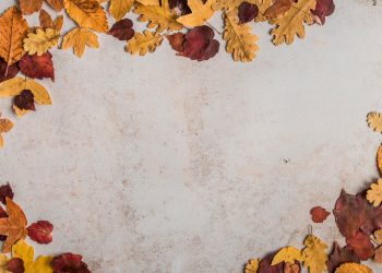Preparing Your Property for Autumn 