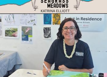 Local Artists, Local Stories 