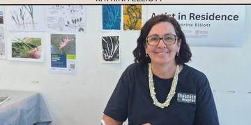 Local Artists, Local Stories 