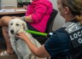 Discounted Microchipping for your Furry friends- Hosted by Council 