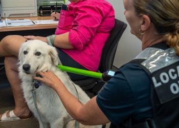 Discounted Microchipping for your Furry friends- Hosted by Council 