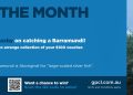 FOTM Winner