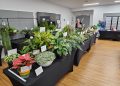 Gladstone Region Invited to Bloom at the 2nd Annual Port Curtis Orchid and Foliage Society Inc Show this August 