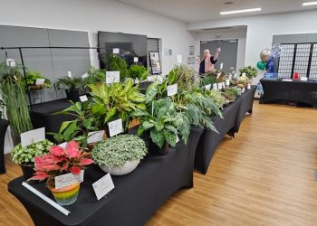 Gladstone Region Invited to Bloom at the 2nd Annual Port Curtis Orchid and Foliage Society Inc Show this August