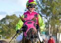 Comeback For Sunshine Coast Jockey in Gladstone