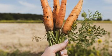 Winter Gardening