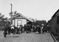 100 Years Of The Many Peaks – Barrimoon Railway Line 