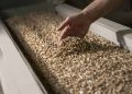 SuperChar Bio Pellets Greenlit For Gladstone 