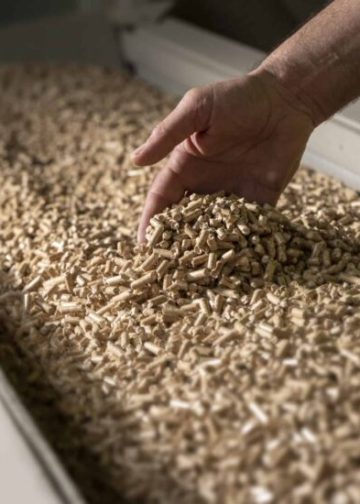 SuperChar Bio Pellets Greenlit For Gladstone 