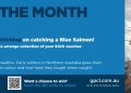 Fish of the Month Winner