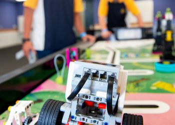 Bright minds light up LEGO for biodiversity boost 