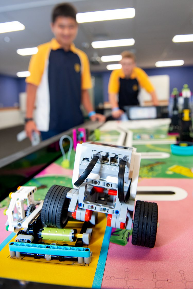 Bright minds light up LEGO for biodiversity boost