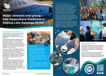 GAWB: Water Connects Everything – How Aquaculture Gladstone Is Helping Lake Awoonga Thrive